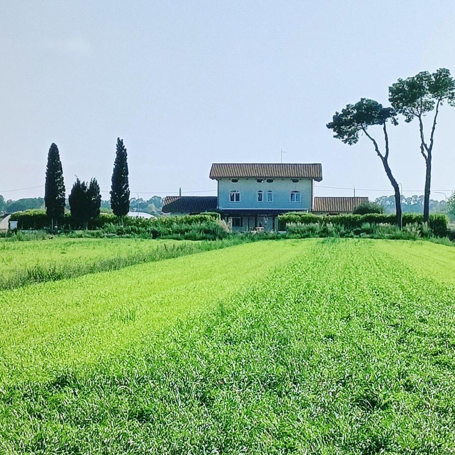 Bed and Breakfast La Ricarda Dimora Di Campagna Paestum Exterior foto