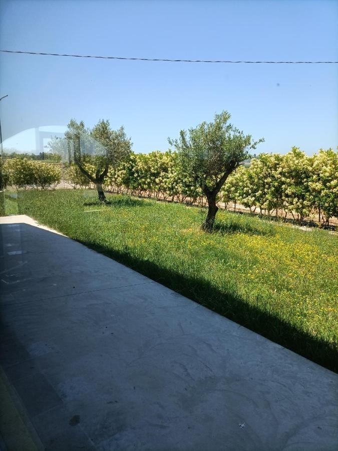 Bed and Breakfast La Ricarda Dimora Di Campagna Paestum Exterior foto